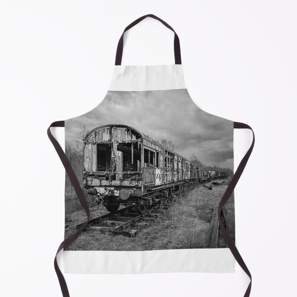 Item preview, Abandoned Train designed and sold by RJW Images.