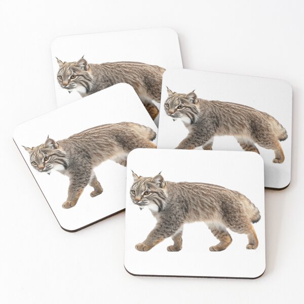 Item preview, pallass cat designed and sold by ArtfulPlay.