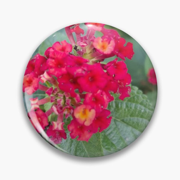 Item preview, Fiori rossi - 86 designed and sold by walterfest.