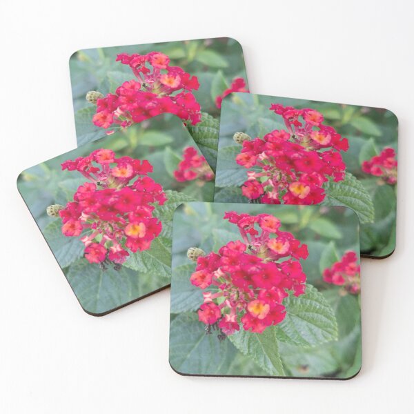 Item preview, Fiori rossi - 86 designed and sold by walterfest.