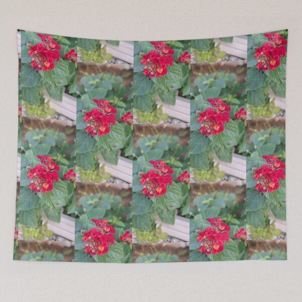 Item preview, Fiori rossi - 86 designed and sold by walterfest.
