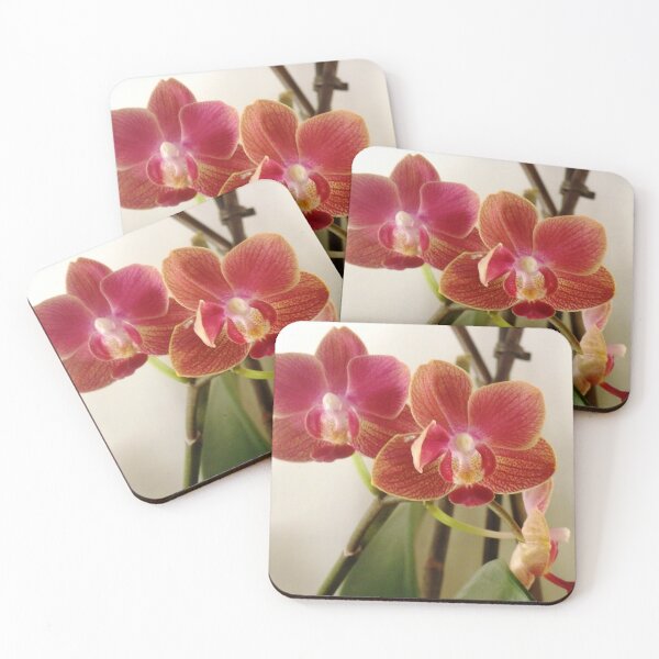 Item preview, Phalaenopsis orchid flower designed and sold by Betulek.