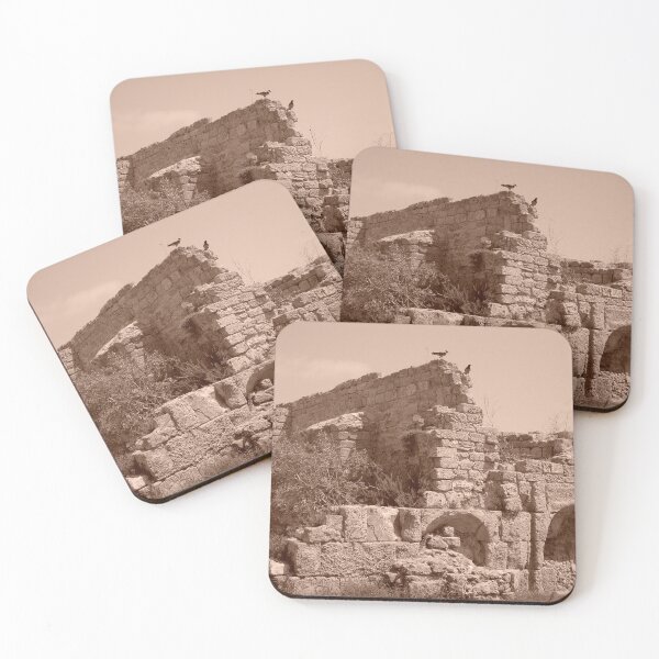 Item preview, Birds over the ancient ruins of Caesarea Maritima, Israel designed and sold by Kiko 7.