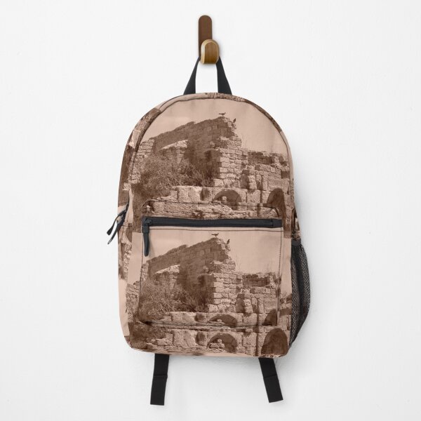 Item preview, Birds over the ancient ruins of Caesarea Maritima, Israel designed and sold by Kiko 7.