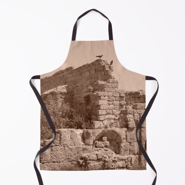 Item preview, Birds over the ancient ruins of Caesarea Maritima, Israel designed and sold by Kiko 7.