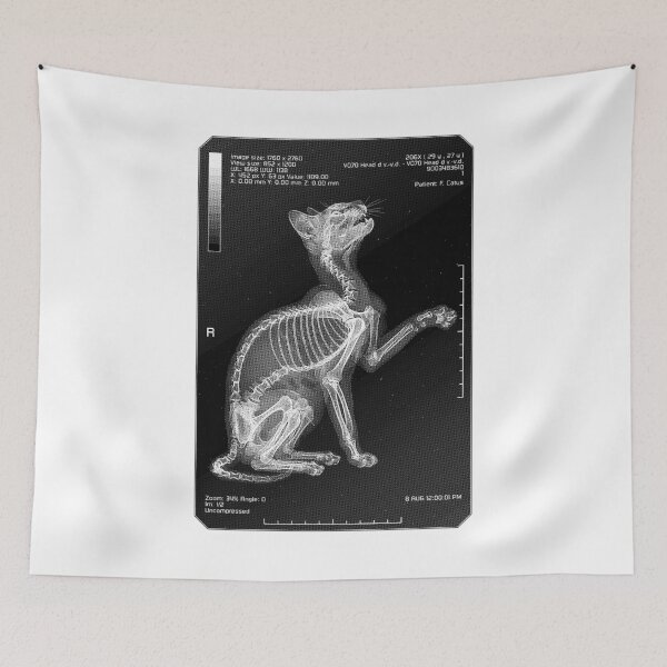 Item preview, Radiology Nurse Radiologist Cat Lover Funny Feline Pet X-Ray designed and sold by GrandeDuc.