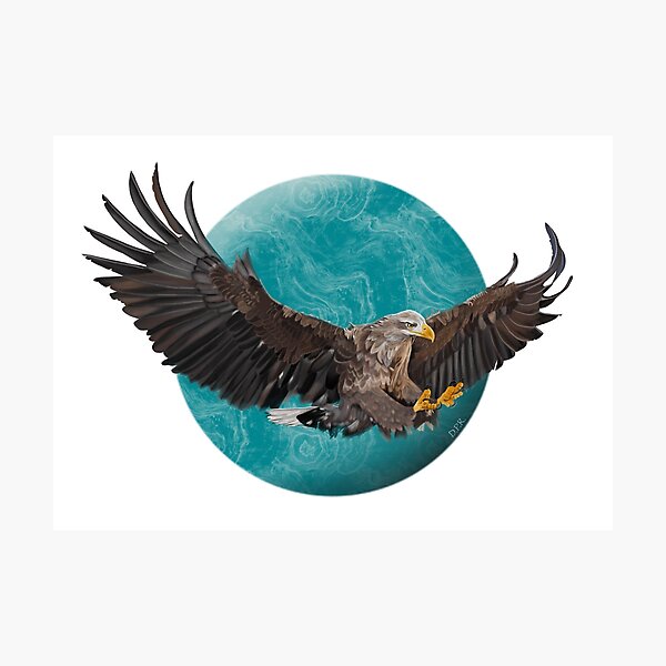 Item preview, White Tailed Eagle designed and sold by D-P-R-Art.