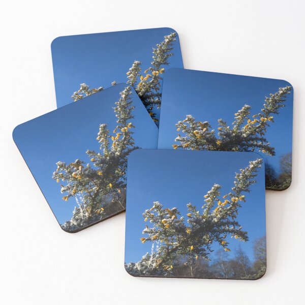 Item preview, Snow, Gorse, Yellow Flowers, Blue Sky designed and sold by wiggyofipswich.