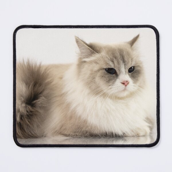 Item preview, Cat portrait designed and sold by ART-SUNRISE.