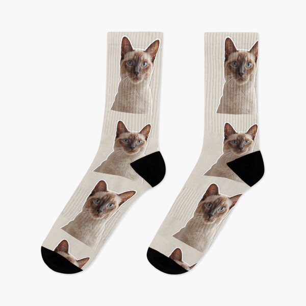 Item preview, Pet – Cat | Siamese_Lumiere | ArtivaNest Pet Verse | Introducing Husky Tundro for the very first time in ArtivaNest’s Pet Verse designed and sold by ArtivaNest.