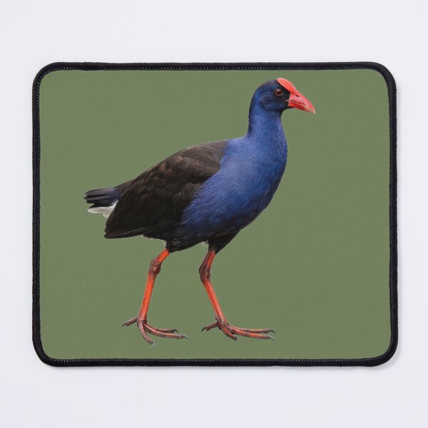 Item preview, Pūkeko – Iconic New Zealand Bird designed and sold by kornkobart.