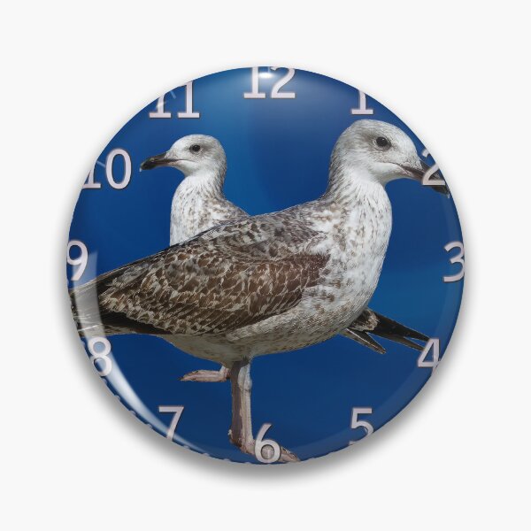 Item preview, Juvenile gull (Hrs) designed and sold by Alan-David.
