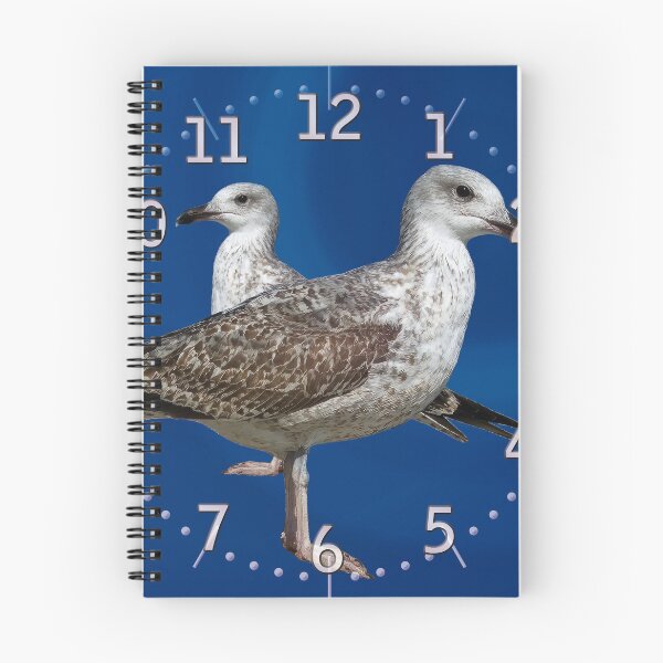 Item preview, Juvenile gull (Hrs) designed and sold by Alan-David.