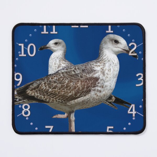 Item preview, Juvenile gull (Hrs) designed and sold by Alan-David.