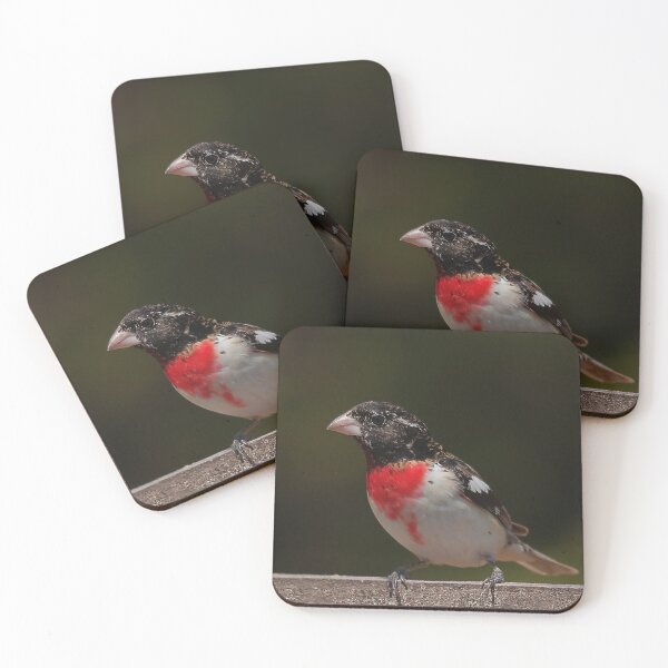 Item preview, Rose-breasted Cardinal designed and sold by Production Art Manon Meilleur.