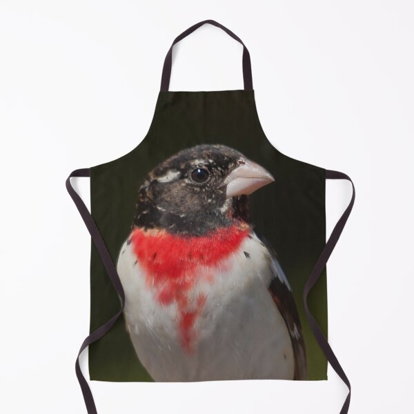 Item preview, Rose-breasted Cardinal designed and sold by Production Art Manon Meilleur.