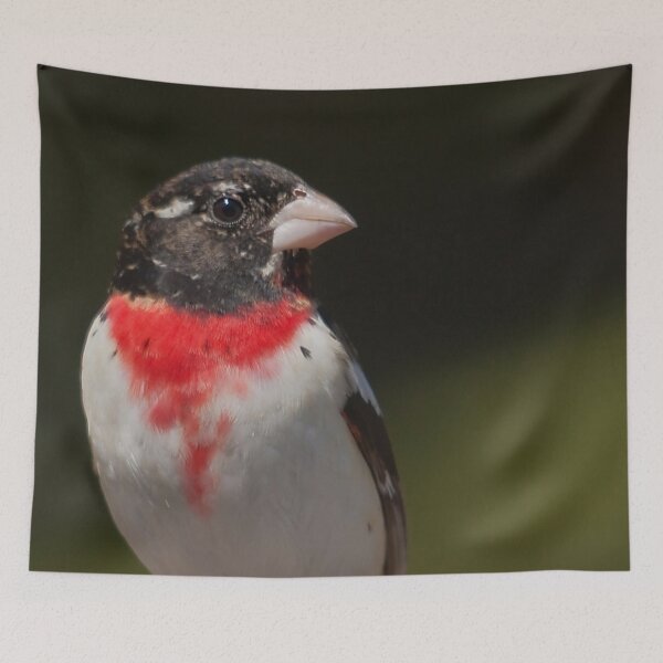 Item preview, Rose-breasted Cardinal designed and sold by Production Art Manon Meilleur.