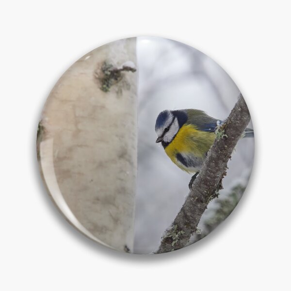 Item preview, Bright colors. Eurasian blue tit designed and sold by Jouko Lehto Photography.
