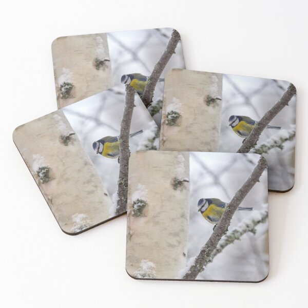 Item preview, Bright colors. Eurasian blue tit designed and sold by Jouko Lehto Photography.