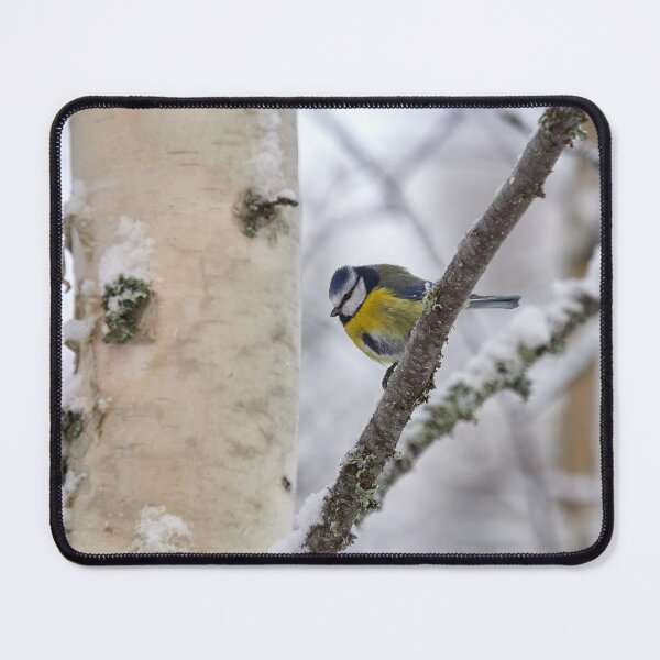 Item preview, Bright colors. Eurasian blue tit designed and sold by Jouko Lehto Photography.