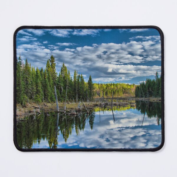 Item preview, A landscape of a stream in a forest in the Laurentians, Quebec, Canada designed and sold by Production Art Manon Meilleur.