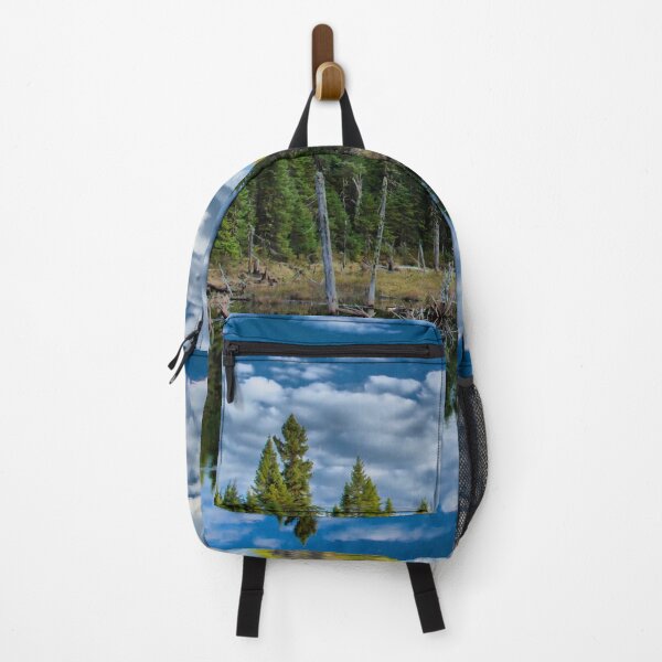 Item preview, A landscape of a stream in a forest in the Laurentians, Quebec, Canada designed and sold by Production Art Manon Meilleur.