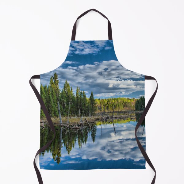 Item preview, A landscape of a stream in a forest in the Laurentians, Quebec, Canada designed and sold by Production Art Manon Meilleur.