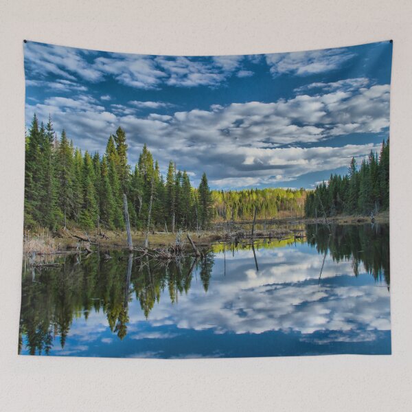 Item preview, A landscape of a stream in a forest in the Laurentians, Quebec, Canada designed and sold by Production Art Manon Meilleur.