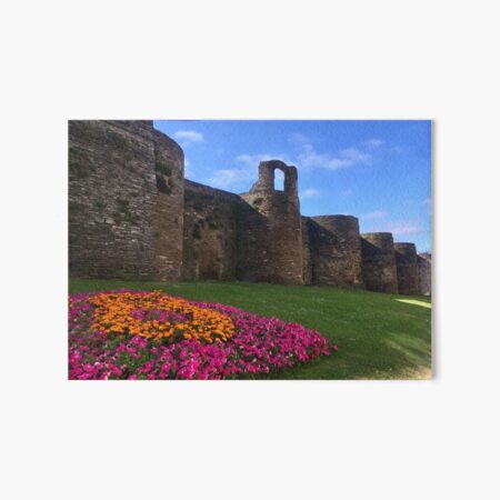 Roman Wall of Lugo Art Board Print