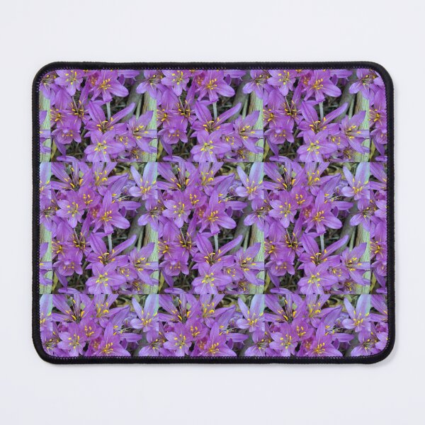 Item preview, Autumn Crocus Bloom Cluster - Magpie Springs designed and sold by MagpieSprings.