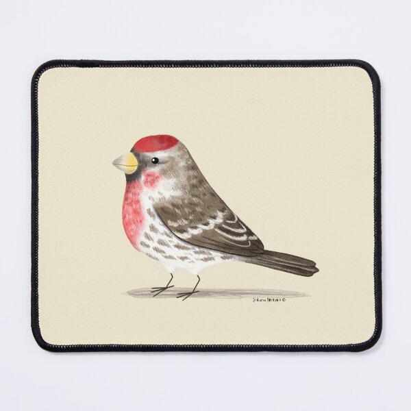 Item preview, Common Redpoll designed and sold by julianamotzko.