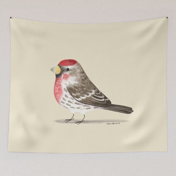 Item preview, Common Redpoll designed and sold by julianamotzko.