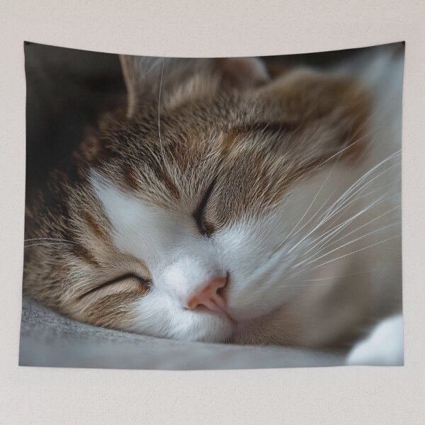 Item preview, Cat napping on a soft spot designed and sold by anytka.