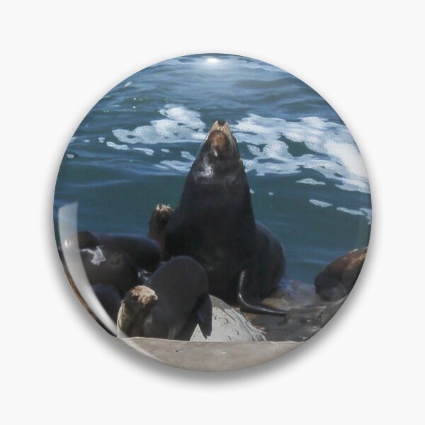 Item preview, Pinniped Paradise designed and sold by heatherfriedman.