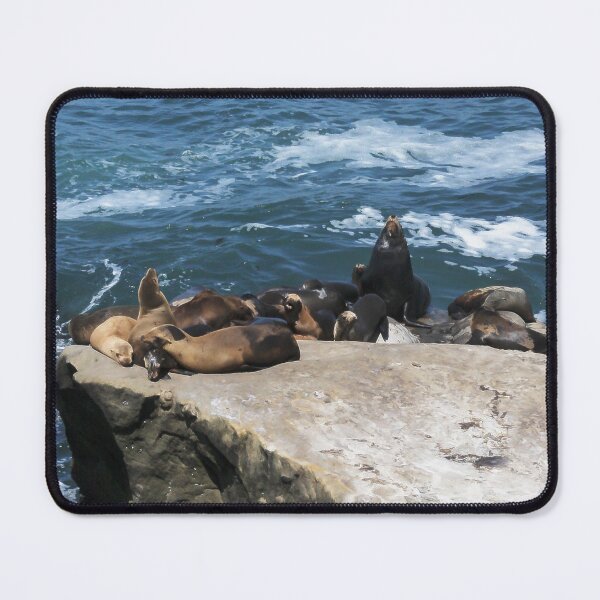 Item preview, Pinniped Paradise designed and sold by heatherfriedman.