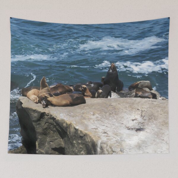Item preview, Pinniped Paradise designed and sold by heatherfriedman.
