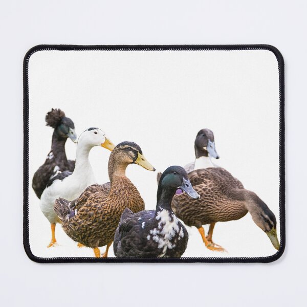 Item preview, Ducks designed and sold by di-Vera-Rosati.