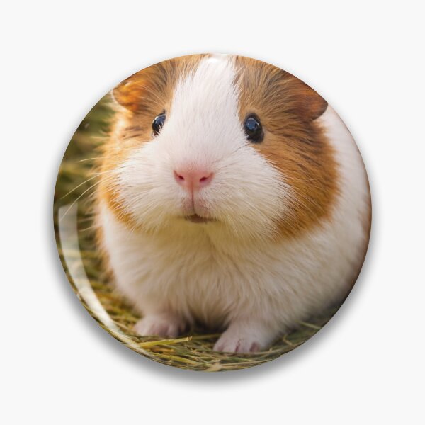 Item preview, Adorable guinea Pig on Hay - Cozy Animal Art Print for Home Decor designed and sold by CzipipitoStudio.