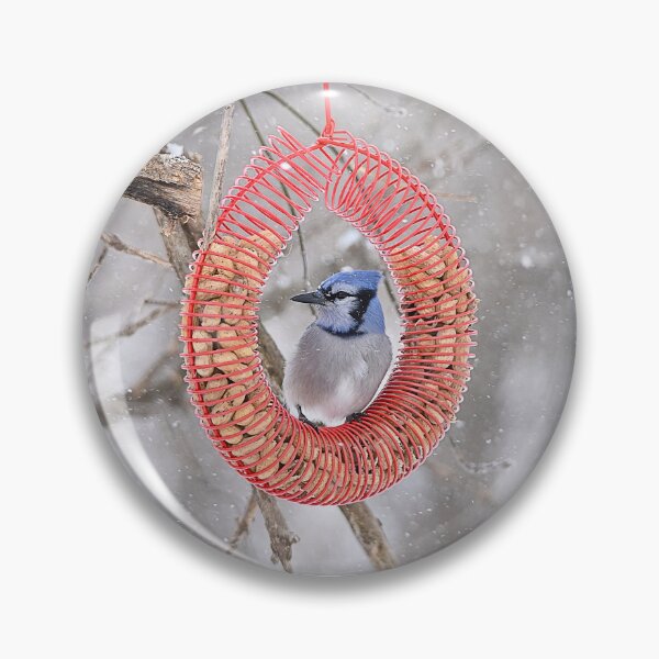 Item preview, Blue Jay Sits In Wreath Feeder designed and sold by NicoleFrederick.