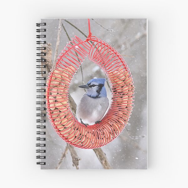 Item preview, Blue Jay Sits In Wreath Feeder designed and sold by NicoleFrederick.