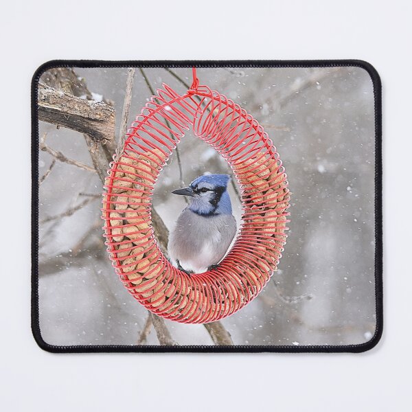 Item preview, Blue Jay Sits In Wreath Feeder designed and sold by NicoleFrederick.