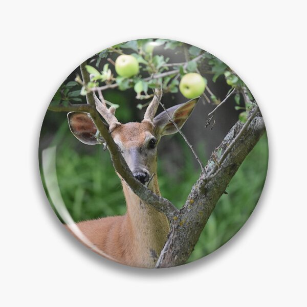 Item preview, White Tail Buck Peaking through Apple Tree Branches designed and sold by NicoleFrederick.