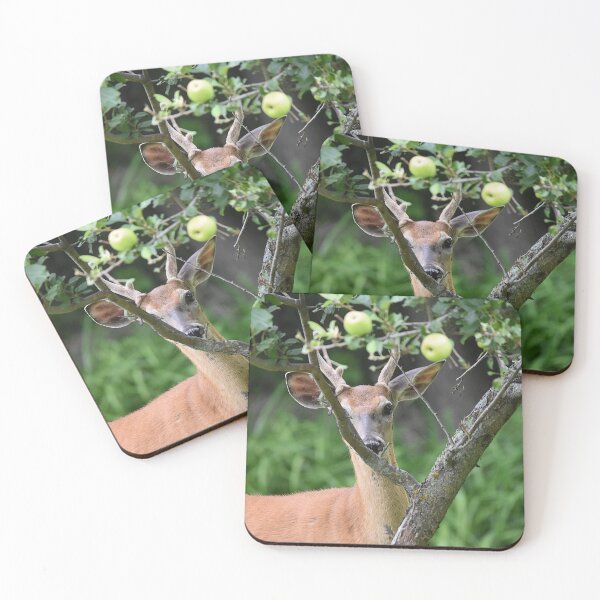 Item preview, White Tail Buck Peaking through Apple Tree Branches designed and sold by NicoleFrederick.