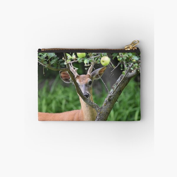 Item preview, White Tail Buck Peaking through Apple Tree Branches designed and sold by NicoleFrederick.