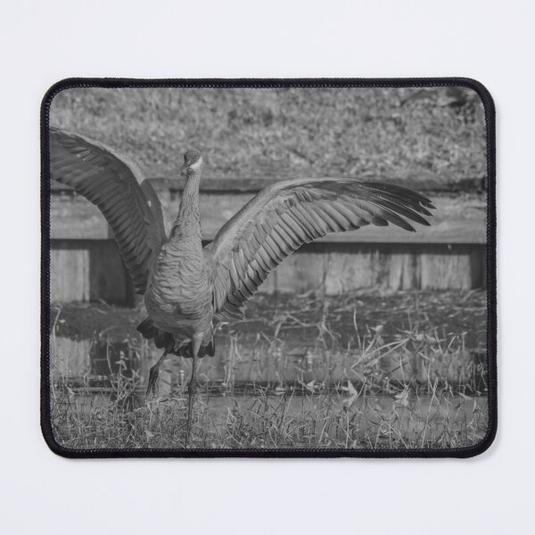 Item preview, A solo sandhill crane stands with its wings spread wide, creating a powerful and striking display designed and sold by EyezWatchin.