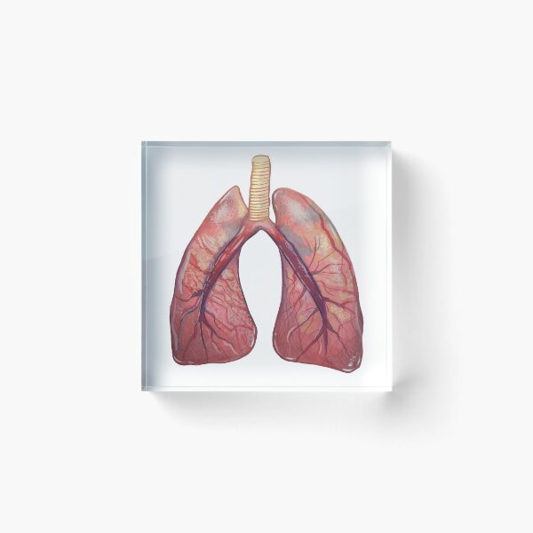 Item preview, Lungs  designed and sold by BaleighBatesArt.
