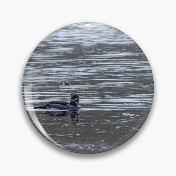 Item preview, Female Hooded Merganser with beak open and crab flying in the air designed and sold by lisavonbiela.