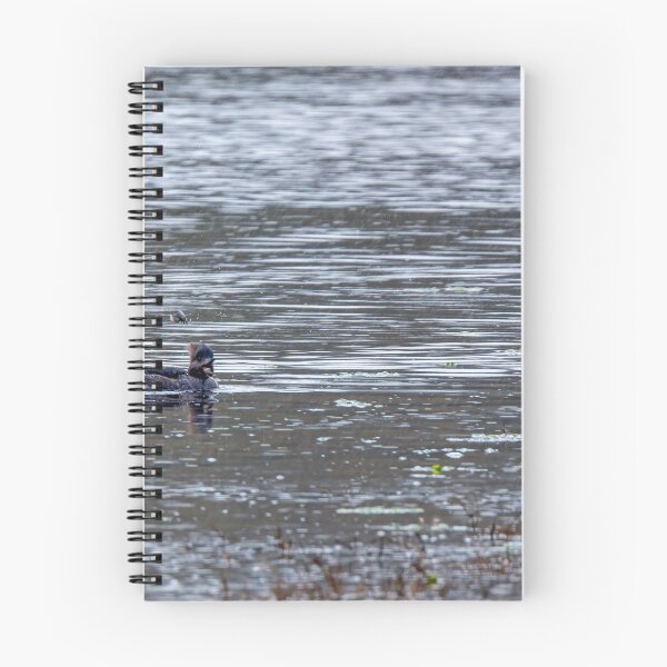 Item preview, Female Hooded Merganser with beak open and crab flying in the air designed and sold by lisavonbiela.