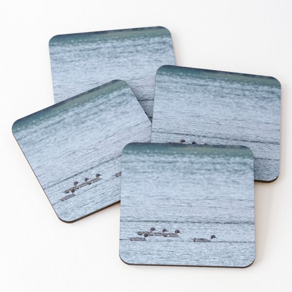 Item preview, Northern Pintail Ducks all in a row designed and sold by lisavonbiela.
