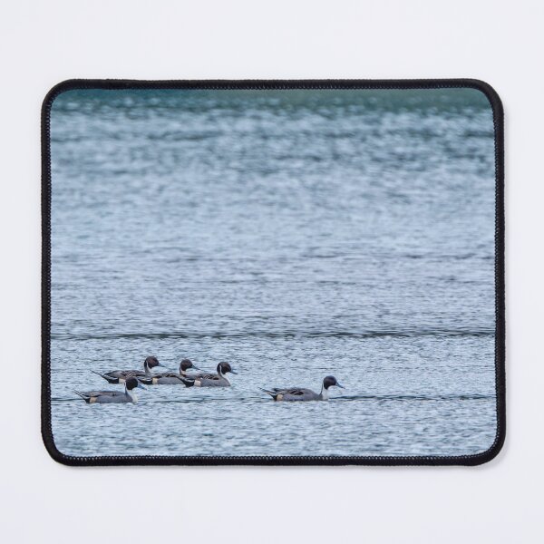 Item preview, Northern Pintail Ducks all in a row designed and sold by lisavonbiela.